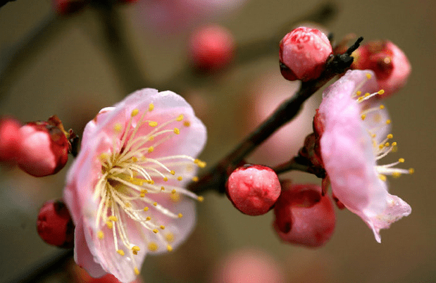 【bsports必一网页版】优美的古代短句谈心情 优美感人的句子(图2)