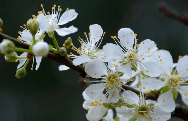 【bsports必一网页版】优美的古代短句谈心情 优美感人的句子(图4)