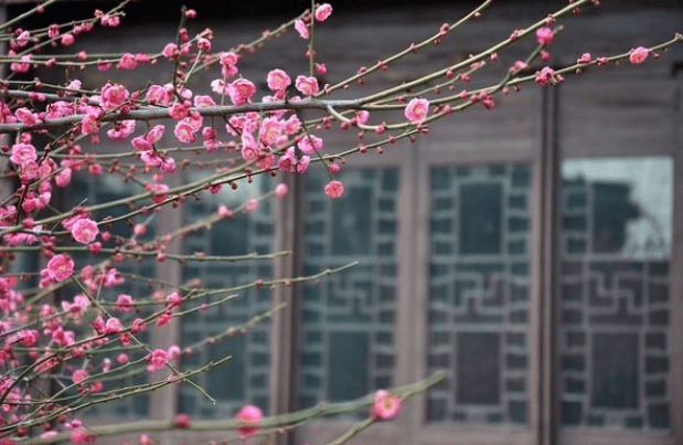 【bsports必一网页版】优美的古代短句谈心情 优美感人的句子(图6)