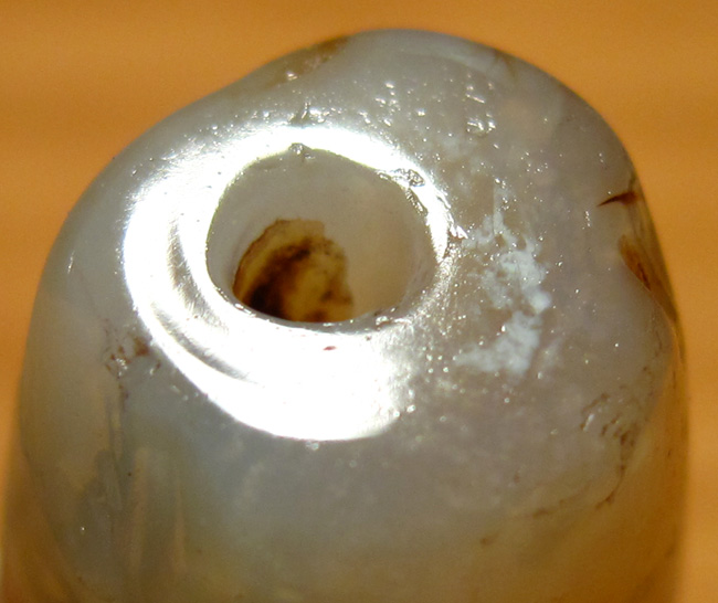 读原著学英文:be accustomed to sth_bsports必一网页版(图1) bsports必一网页版