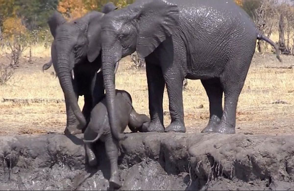 bsports必一网页版