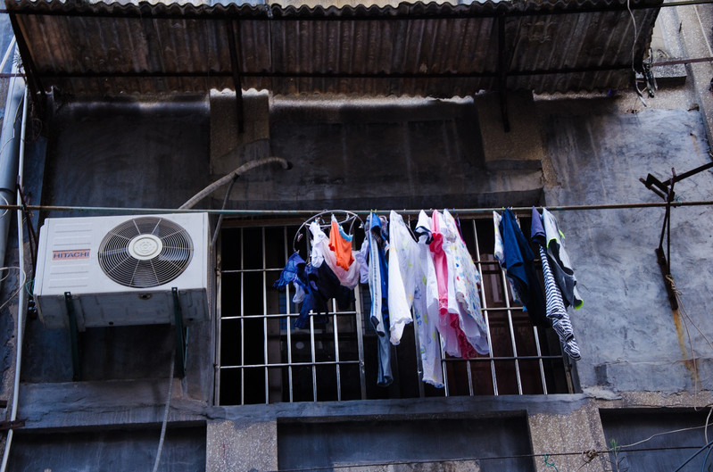 bsports必一网页版_猪肉有点贵,难道是环保惹的祸?(图1) bsports必一网页版