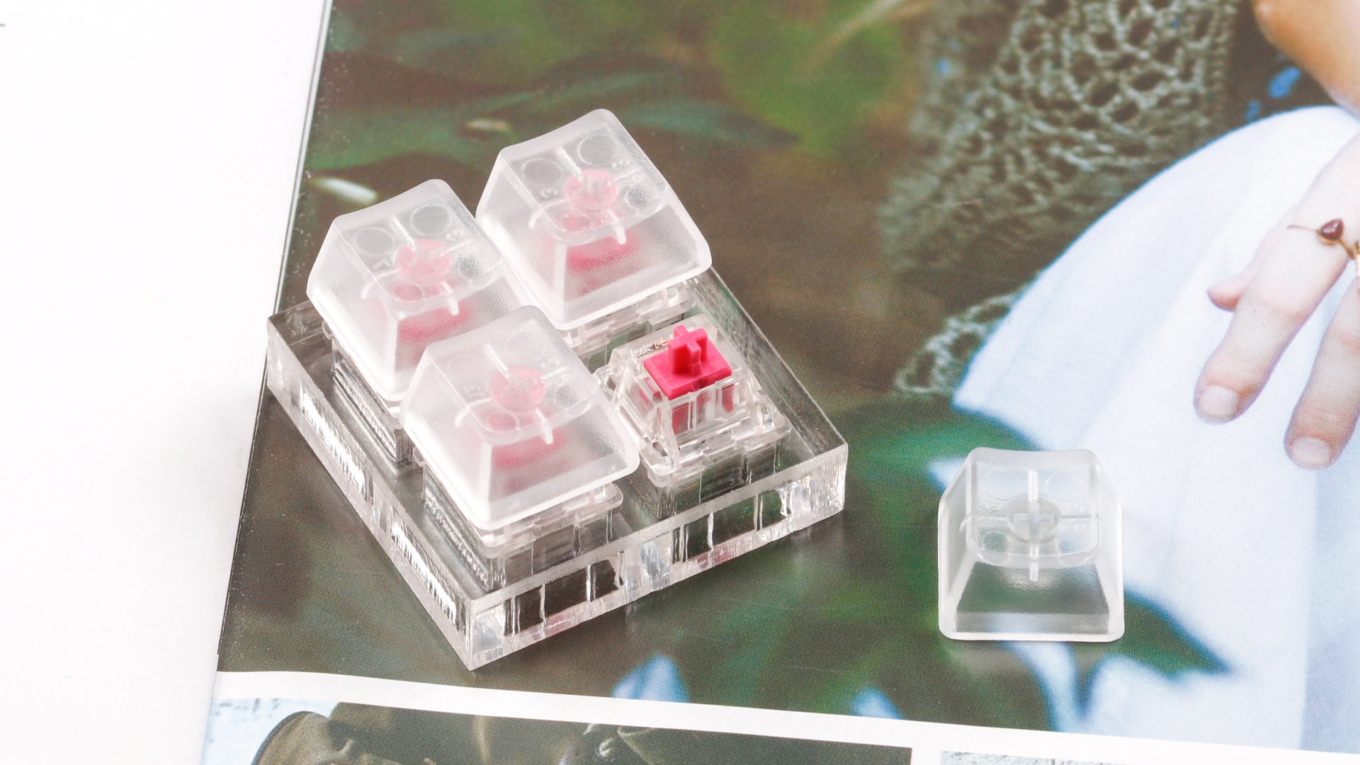 bsports必一网页版