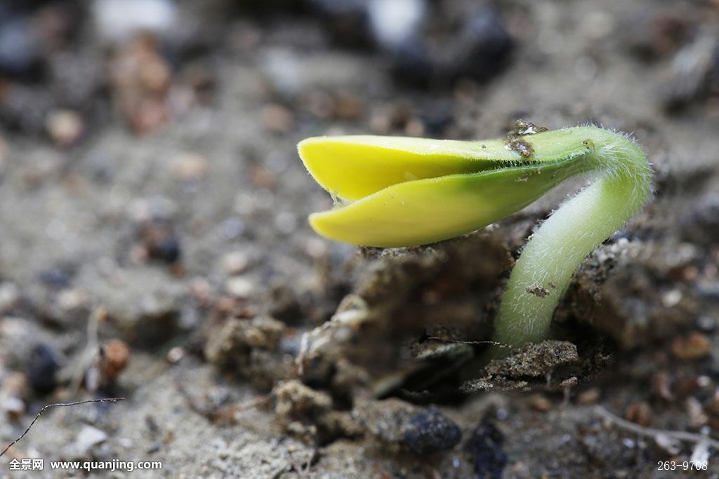 “生态环境部”该如何加强地下水污染防治工作?_bsports必一网页版(图2) bsports必一网页版