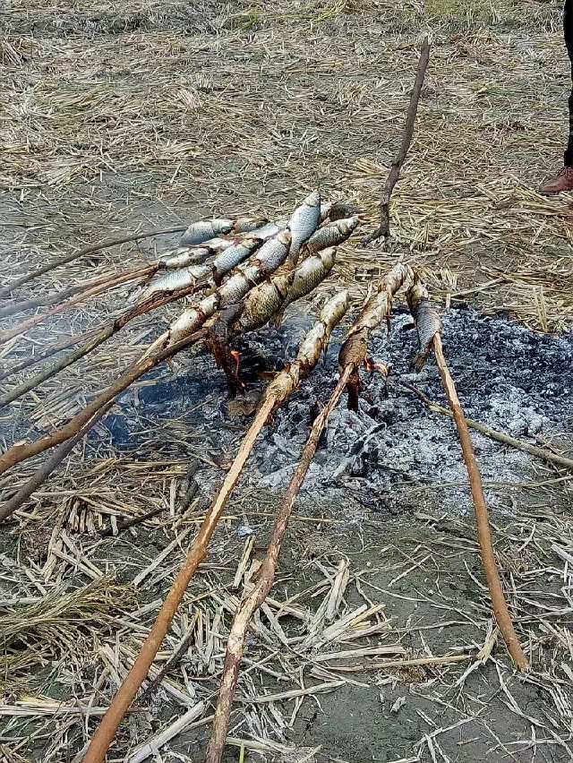 bsports必一网页版