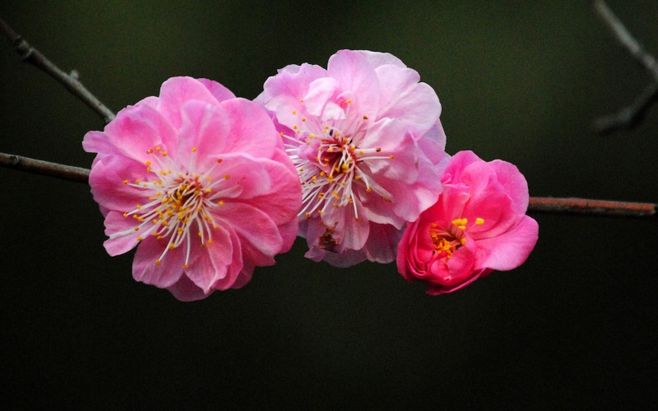 
二建考试报名答疑 快看：bsports必一网页版